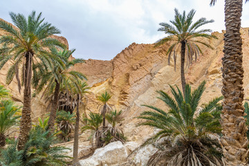 Fototapeta na wymiar Beautiful green mountain oasis in Tunisia. Chebika oasis in Tozeur Governorate. Horizontal color photography.