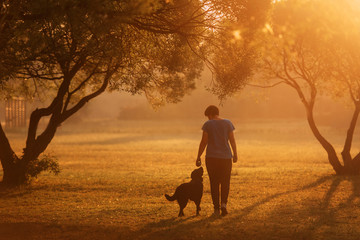 owner walking labrador dog in the park at sunset