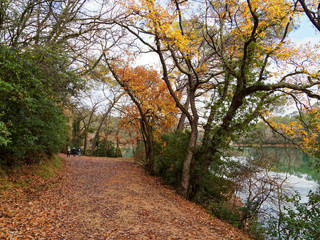 Lac de Carcès ou Sainte Suzanne en Provence verte. Sentier de randonnée autour du lac, bordé de hauts arbres et végétation de garrigue aux couleurs d'automne