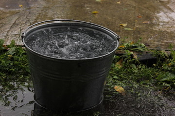 from the roof of water dripping from the bucket. rain