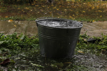 from the roof of water dripping from the bucket. rain