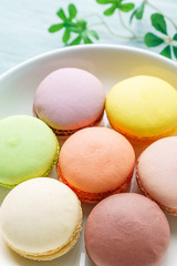 洋菓子 マカロン