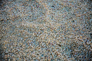 pebbles on the beach