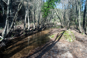 Vista del Rio Ceraxa