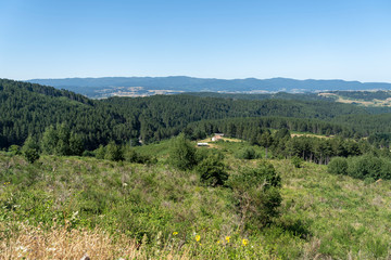 Fototapeta na wymiar Mountain landscape in the Sila natural park near Longobucco