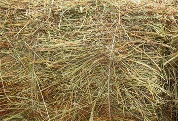 Dry hay as an abstract background