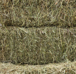 Dry hay as an abstract background
