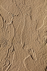 Decorative stucco as abstract background.