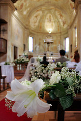 giglio con sfondo chiesa