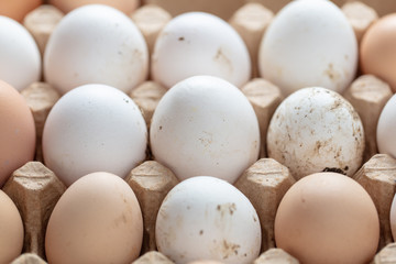 Fresh chicken eggs in industrial mud as a background