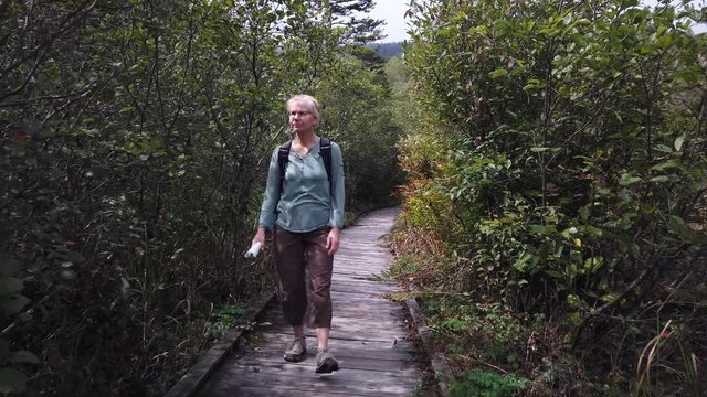 Pretty, blonde, mature woman takes a photos with her smartphone of Cranberry Glades Botanical Area boardwalk.