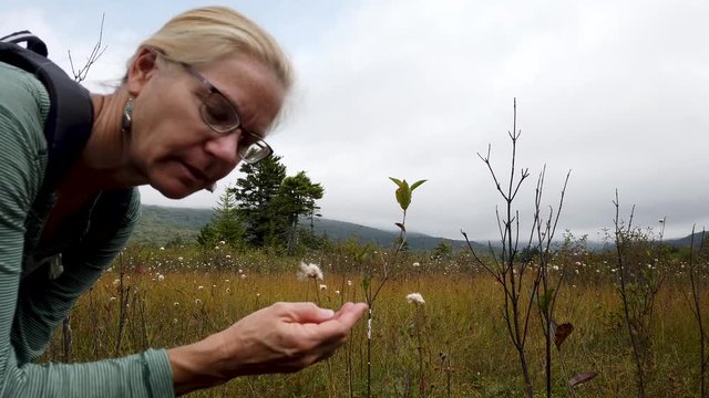 Closeup of pretty, blonde, mature woman looking at cotton grass at Cranberry Glades Botanical Area boardwalk.