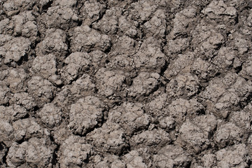 land with dry and cracked ground