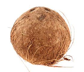 Coconut isolated on a white background