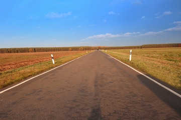 road throught fields to the forest under cloudy sky