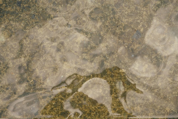 Water swimming pool seamless caustic texture background