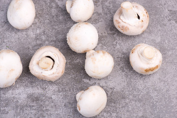 Champignons on a grey structured background