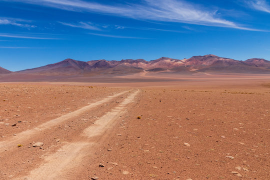 Track on the altiplano in Bolivia.