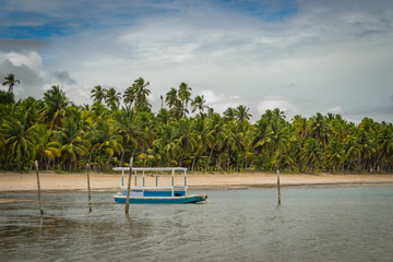 Beaches of Brazil - Maragogi Beach, Alagoas State