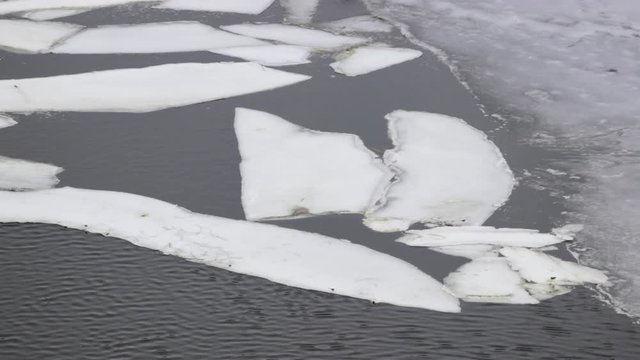 The river bank, waves of dirty melt snow icy water