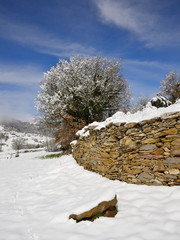 Muro cubierto de nieve