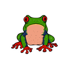 Vector illustration of red eye tree frog