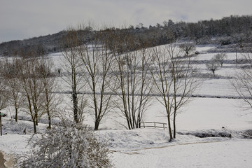 Paisaje nevado