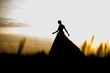 Wide shot of a fairytale princess dark silhouette against a clear sky with a sunrise of a female in...