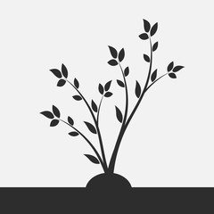 Young flowering tree. Sapling. Silhouette of a branch with leaves. 