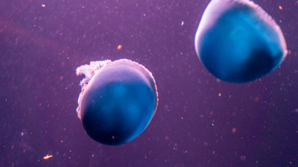 planets in outer space