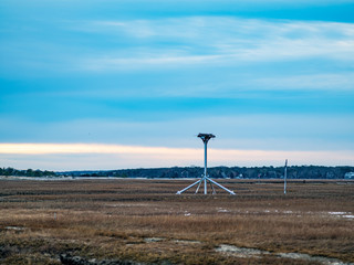 Man Made Birds Nest On Wide Open Marsh Land
