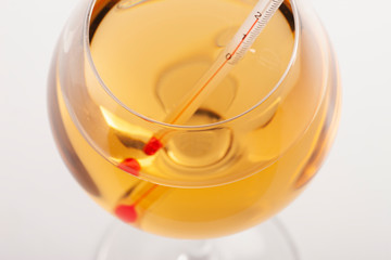 Measuring White Wine Temperature with a Wine Thermometer