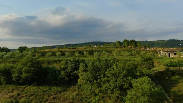 Orchard farms at the edge of lake Butoniga water reservoir dam in Croatia with crops and fruit trees seen, Aerial drone flyover shot