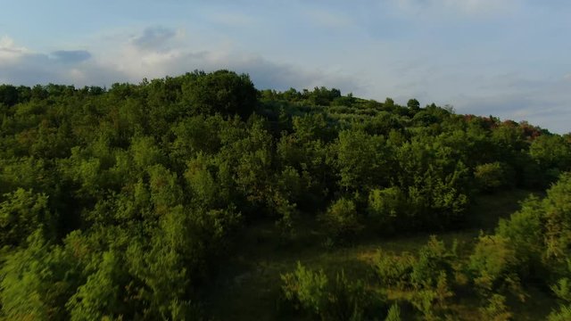 Forest hill and fruit tree farm near lake Butoniga water dam in Croatia Istria peninsula, Aerial drone flyover shot