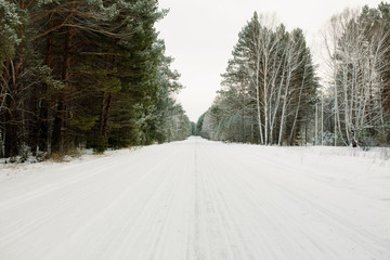 Obraz premium road in winter forest