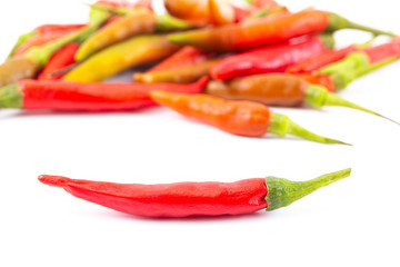 A group of fresh and hot red bird-chilli with on hilight in front on white background