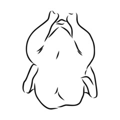vector illustration of a chicken meat carcass 