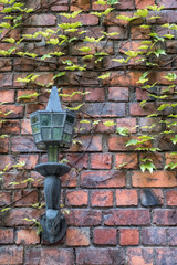 Bronze street lamp on the wall. Red brick wall and ivy.