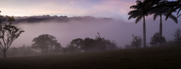 Foggy morning at Bocono Trujillo State, Venezuela