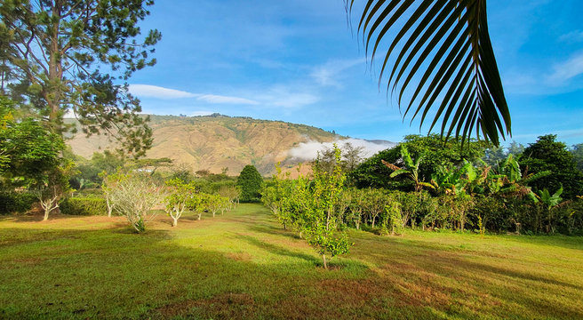 Sunny day at Bocono mountains, Trujillo State. Venezuela