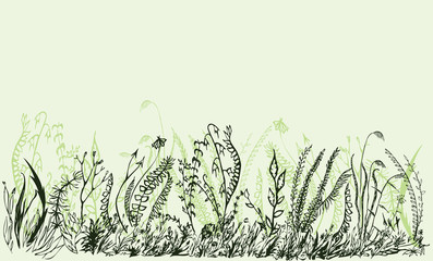 Fototapeta na wymiar Green background with border from drawn grass and wildflowers