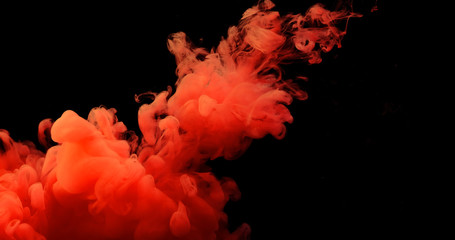 Abstract color paint splash isolated on white background, Splash of paint. Abstract background,