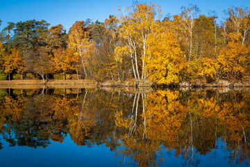 Autumn forest with yellow and orange foliage and reflection in the forest lake