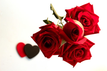 Fototapeta na wymiar break heart in valentine , red roses black and red heart on white background