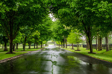 Rainy Days on Kentucky Backroads