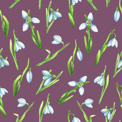 Watercolor spring pattern. Seamless pattern with watercolor snowdrops on violet background. Floral background. First flowers illustration. 