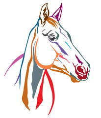 Colorful decorative horse 5