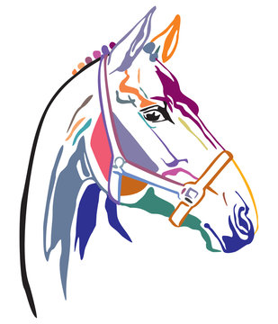 Colorful decorative horse 3