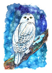 Fototapeta premium white owl night winter lettering harry potter stars snow watercolor drawing illustration