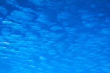 Blue morning sky with white clouds white clouds on blue sky